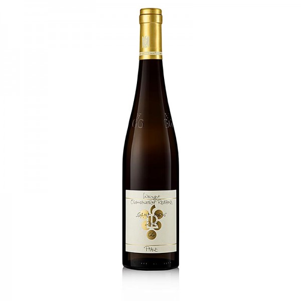 Rebholz - 2019er Ganz Horn Riesling GG trocken 12.5% vol. Rebholz BIO